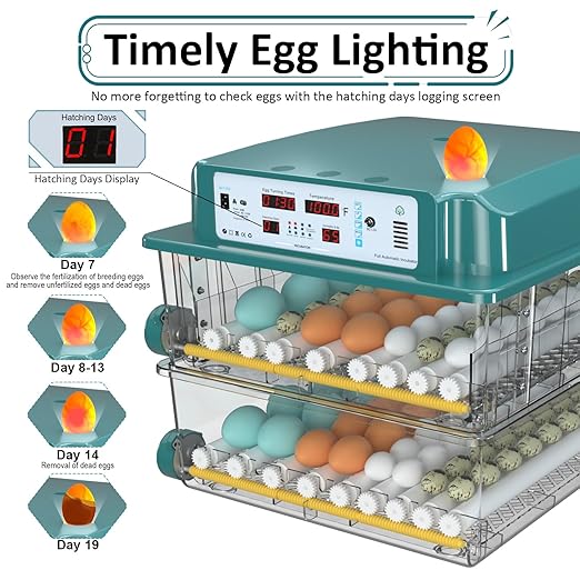 Incubators for Hatching Eggs 120, Chicken Egg Incubator with Automatic Egg Turning and Humidity Display, Temperature Control with 5 Automatic Incubation Modes, Incubation Day Counter - Image 5