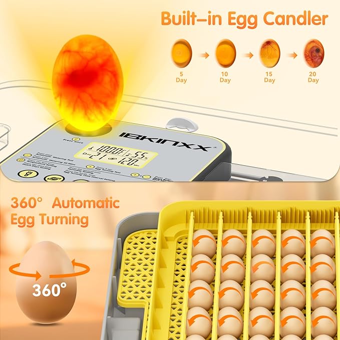 Incubator for Hatching Eggs-48 Egg Capacity, 2026 Newly Upraded Auto Egg Turner & Auto Precision Humidity Control System, 360° Clear Viewing for Chicken, Duck and Quail Eggs (Yellow) - Image 2