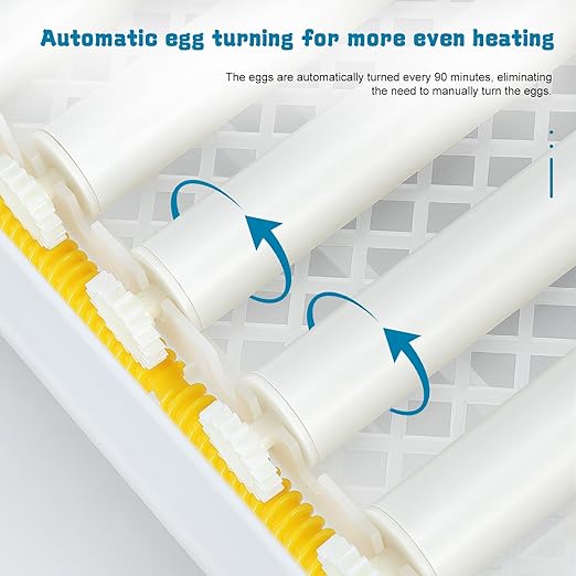 64 Egg Incubators for Hatching Eggs, with Auto Turner & Humidity Control, Automatic Egg Turning Rotates 360 Degrees, Visual Control Panel, Hatchable Duck/Goose/Bird Eggs for Home, Farm, Classroom - Image 4