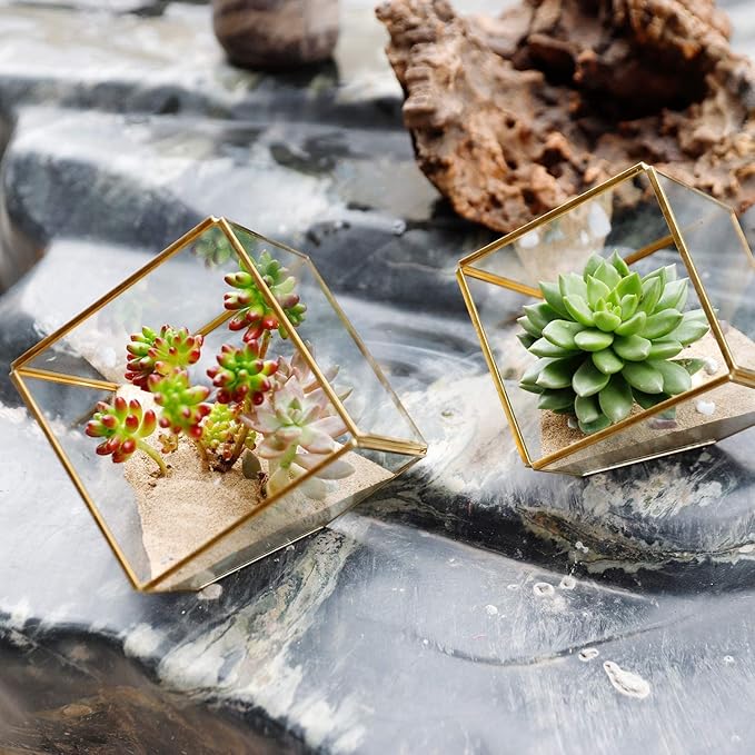 ELEGANTLIFE Glass Geometric Plant Terrarium,Succulent & Air Planter for Home Garden Office Decoration(Gold Cubic Set of 2) - Image 5