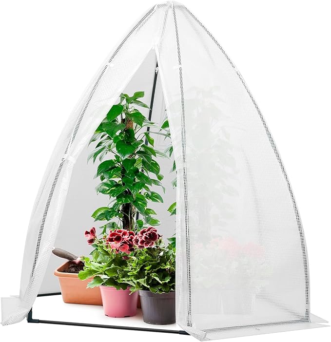 VIVOSUN Portable Mini Greenhouse 72x63x63-Inch Tent-Style Greenhouse, PE Cover with Roll-up Zipper Door and Window, for Indoor Outdoor or Garden Plant Growing, White by VIVOSUN