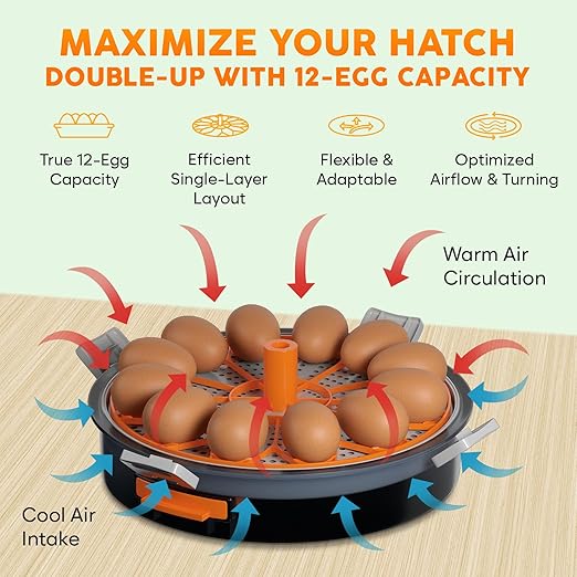 12 Egg Incubator with Automatic Egg Turning and Humidity Control – Temperature Adjustment – incubators for Hatching Eggs – Built-in Egg Candler – Incubadora de Huevos de Gallina – Easy to Use - Image 3