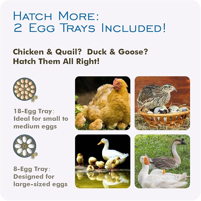 OtterVerz 11 Egg Incubators for Hatching 18-36 Chicken/Quail/Turkey Eggs, 360° View Poultry Incubator with Automatic Egg Turning and Humidity Control, Suitable for Farm, Classroom, Home - Image 5