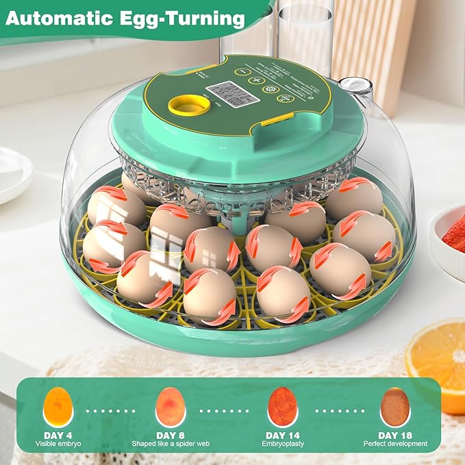18 Egg Incubator with Automatic Egg Turning and Humidity Control,Chicken Egg Incubator, Large View Incubator for Chicken Duck Quail Eggs, External Water Refill, Egg Candler - Image 4