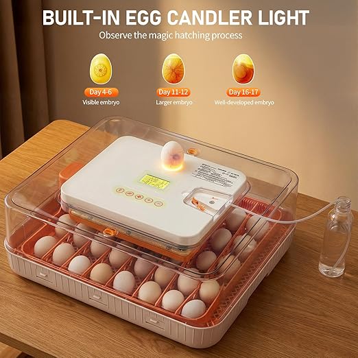 Winado Incubators for Hatching Eggs, 56 Egg Incubator with Automatic Egg Turning, Temperature & Humidity Control, Egg Candler, Automatic Water Filling and Day Counter for Eggs Hatching - Image 4