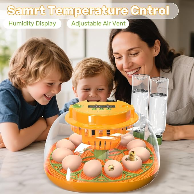 Incubators for Hatching Eggs, 12 Egg Incubator with Automatic Egg Turning and Humidity Control, Egg Candler, Auto Water Replenishment, Air Vent, for Hatching Chicken Duck Quail Goose Eggs - Image 2