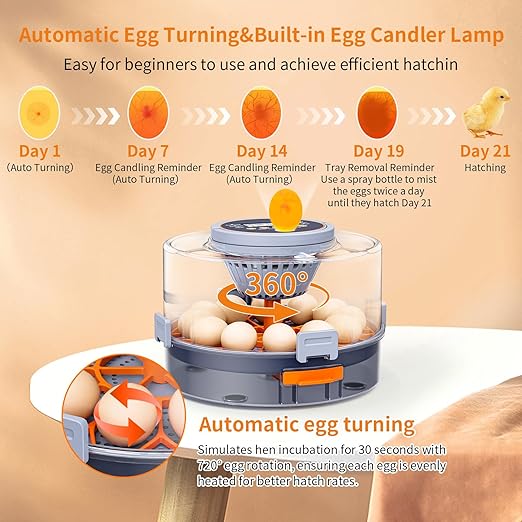 Incubator, Egg Incubator, Incubator for Hatching Eggs with Egg Candler, Automatic Egg Turner, Temperature& Humidity Control for Chicken, Duck, Quail,Goose, Carrying Handle Design,360° Viewing - Image 3