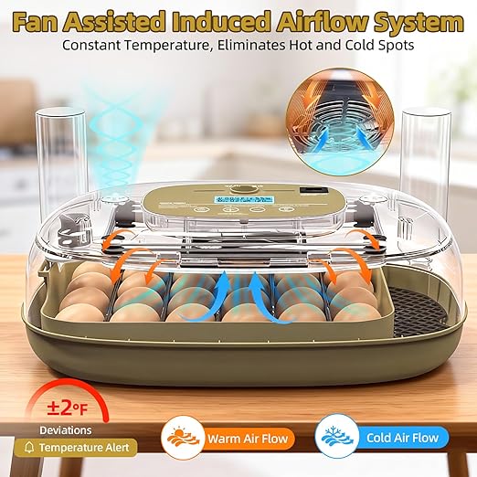 24 Incubators for Hatching Eggs, Egg Incubator with Humidity Control & Digital Temperature, Automatic Egg Turner, Hatch Day, Auto Water Refill, 360°Viewing for Chicken, Duck, Quail, Duck, Goose - Image 2