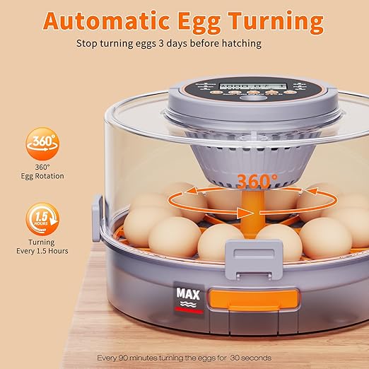 12 Egg Incubators for Hatching Eggs with Automatic Egg Turning & Humidity Control Intelligent Temp Eggs Candler for Chicken Quail Duck etc. Eggs, Suit for Beginner Backyard Hobbyist Students Education - Image 7