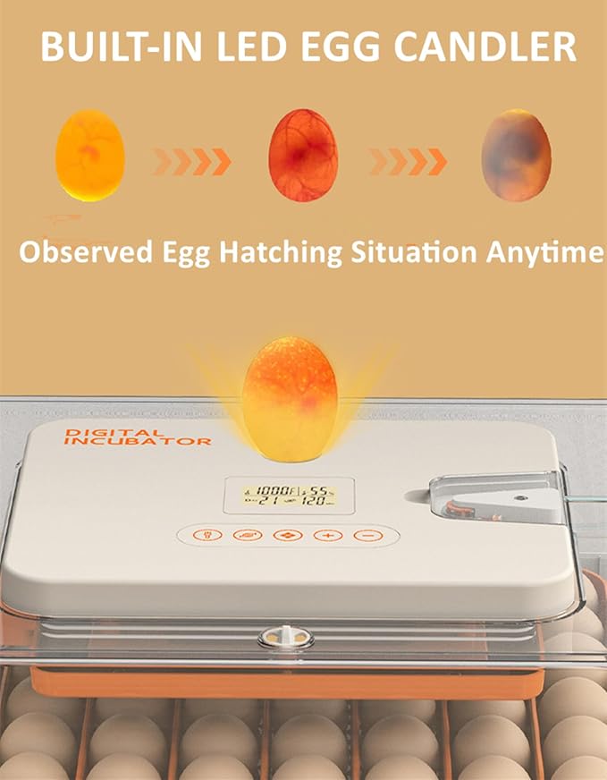 Egg Incubator for Hatching Eggs, Intelligent 56 Eggs Incubator with Temperature & Humidity Control, Automatic Egg Turning, Hatch Days & Egg Candler, Adjustable - Image 4