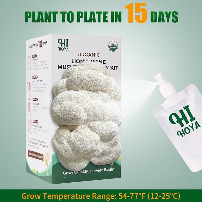 Large Organic Lion's Mane Mushroom Grow Kit with Spray & Accessories, Fresh Edible Mushroom Growing Kit Double-Sided Growable, USDA Certified, Non-GMO, Beginner Friendly, Indoor, Gardening Gift, USA - Image 3