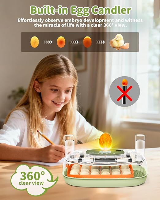 Egg Incubator for 24 Chicken Eggs with Automatic Turner, Digital Temperature Control & Humidity Display, Candler, Poultry Hatcher for Chicken, Duck, Quail, Birds (Green) - Image 6