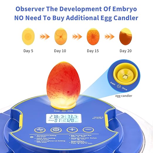 18 Egg Incubator with Auto Turn & Humidity Control, 360° View Poultry Hatcher for Chicken/Duck/Turkey/Quail Eggs - Incubator for Hatching Eggs - Image 2