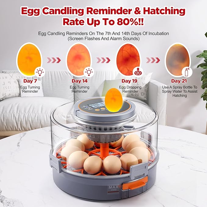 Chicken Egg Incubator 12-40 Eggs - Automatic 760° Egg Turner with Digital Display, Auto Temperature Humidity Control for Hatching Chicken Duck Quail Eggs, High Hatch Rate Poultry Incubator - Image 6