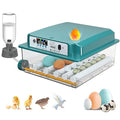 Incubators for Hatching 16 Eggs, Egg Incubator with Automatic Egg Turning and Humidity Fill, Temperature Control, Incubator with Adjustable Rollers for Chickens, Ducks, Geese, and Quails by Chalixion