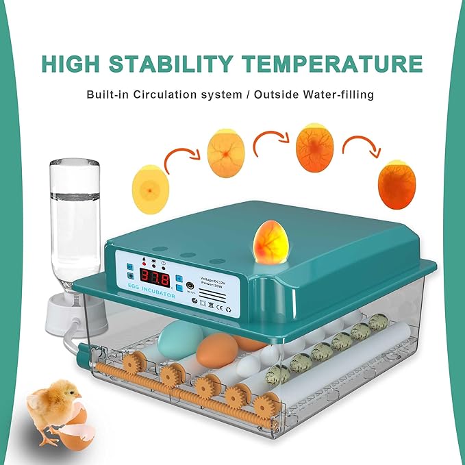 Choies 16 Egg Incubator,Incubators for Hatching Eggs,Automatic Egg Turning,Humidity Control,Automatic Water Adding,Incubator with Egg Candler,Quail Eggs Incubators for Hatching Chicken,Duck,Goose - Image 6