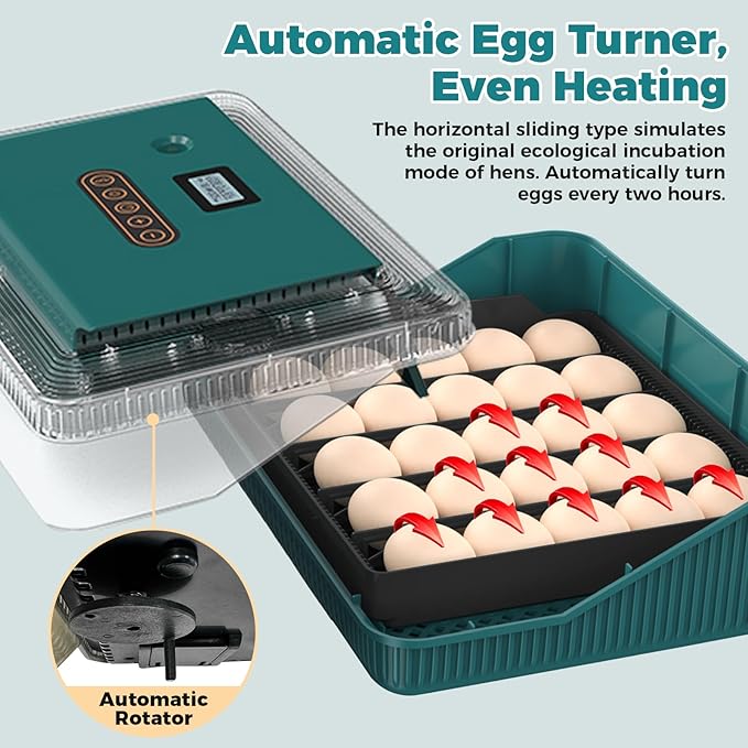 25 Eggs Incubator, Incubators for Hatching Eggs, with Automatic Egg Turning and Humidity Control, Egg Candler, Auto Water Replenishment, for Hatching Quail, Chicken, Duck, Goose Eggs (Dark Green) - Image 4