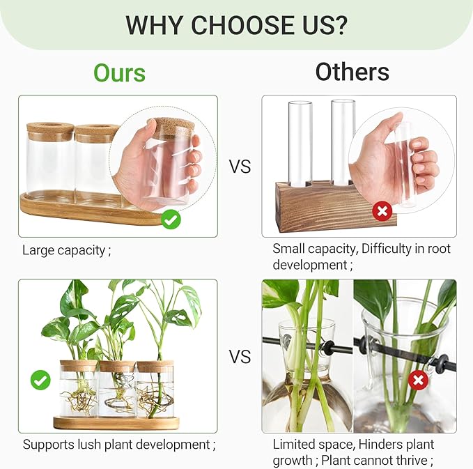 Dahey Plant Propagation Terrarium Desktop Glass Planter Station Water Planting Glass Vase with Lid and Wooden Stand for Propagating Hydroponic Plants Centerpiece Office Home Garden Decor, 4 Pcs - Image 3