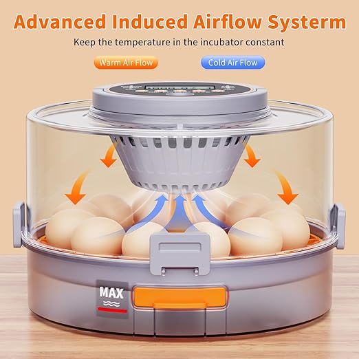 12 Egg Incubators for Hatching Eggs with Automatic Egg Turning & Humidity Control Intelligent Temp Eggs Candler for Chicken Quail Duck etc. Eggs, Suit for Beginner Backyard Hobbyist Students Education - Image 5
