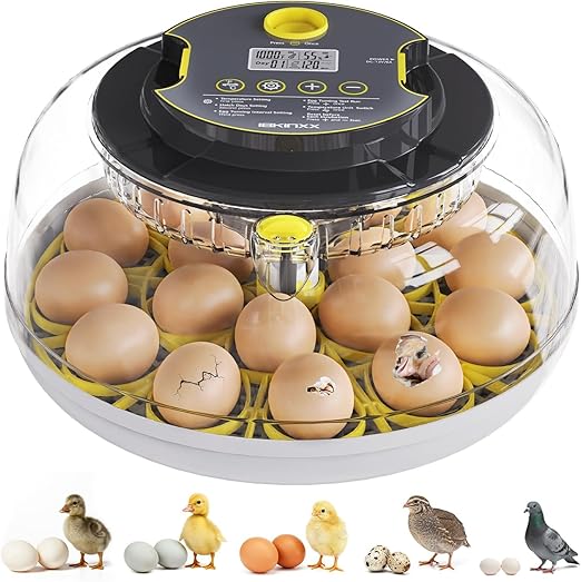 Incubator for Hatching Eggs-18 Egg Capacity, Automatic Egg Turner, Temperature & Humidity Control, 360° Viewing for Chicken, Duck and Quail Eggs by IBKINXX