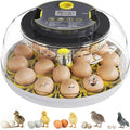 Incubator for Hatching Eggs-18 Egg Capacity, Automatic Egg Turner, Temperature & Humidity Control, 360° Viewing for Chicken, Duck and Quail Eggs by IBKINXX