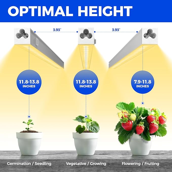Barrina Grow Lights for Indoor Plants, Full Spectrum Sunlight, 1FT White Cover Plant Growing Lamp, LED Grow Light Bulbs, T5 Grow Light Strip, Plug and Play, Yellow, 4-Pack - Image 5