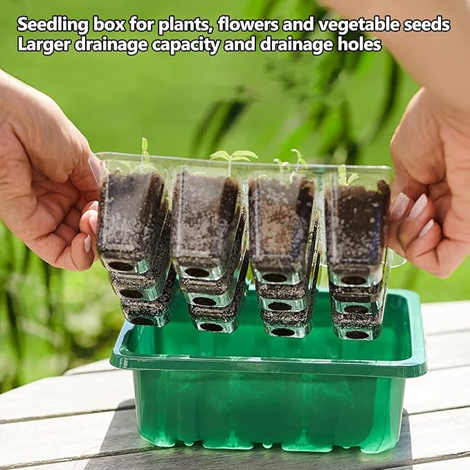 payanwin 6-Pack Seed Starter Tray Kit with Grow Light, Adjustable Brightness & Timing Controller, Seedling Trays with Humidity Domes & Heightened Lids, Thicken Design, Ideal for Indoor Plant Growth - Image 4