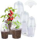 homenote Clear Nursery Pots for Plants,3/4/5 Inch Plant Pot for Planting with Humidity Domes Plastic Seedling with Drainage Holes Seed Starter Flower High Transparency (15 Pack) by HOMENOTE
