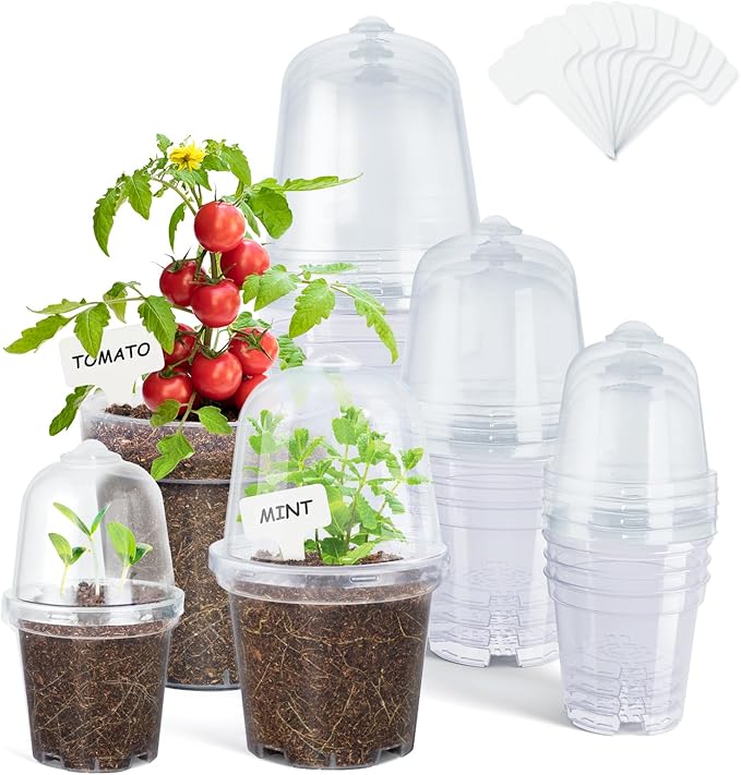 homenote Clear Nursery Pots for Plants,3/4/5 Inch Plant Pot for Planting with Humidity Domes Plastic Seedling with Drainage Holes Seed Starter Flower High Transparency (15 Pack) by HOMENOTE