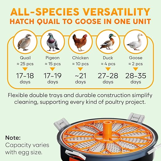 12 Egg Incubator with Automatic Egg Turning and Humidity Control – Temperature Adjustment – incubators for Hatching Eggs – Built-in Egg Candler – Incubadora de Huevos de Gallina – Easy to Use - Image 6