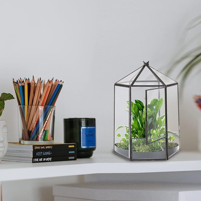 ELEGANTLIFE Glass Geometric Plant Terrarium,Succulent & Air Planter for Home Garden Office Decoration,No Plants(Black Hexagonal) - Image 7