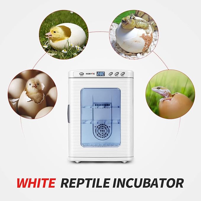 RYFT Incubators for Hatching Eggs, 25L Portable Reptile Scientific Lab Incubator with 5°C-60°C, 12V/110V Heating and Cooling for Small Reptiles (White) - Image 2