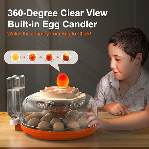 18 Egg Incubator, Automatic Turning with Temperature & Humidity Control, Egg Candler, 360 View with Air Vent, Auto Water Bottle Refill, Chicken Incubator for Hatching Eggs - Image 7