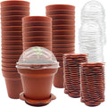 50 Packs Cupcake Plant Nursery Pots with Humidity Dome- Planting Containers Cups- Small Flower Pots with Trays & Lids for Indoor Outdoor Seedling Succulent Vegetable (Wine Red) by PurpleStar