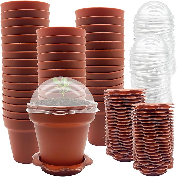 50 Packs Cupcake Plant Nursery Pots with Humidity Dome- Planting Containers Cups- Small Flower Pots with Trays & Lids for Indoor Outdoor Seedling Succulent Vegetable (Wine Red) by PurpleStar