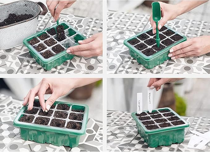 payanwin 6-Pack Seed Starter Tray Kit with Grow Light, Adjustable Brightness & Timing Controller, Seedling Trays with Humidity Domes & Heightened Lids, Thicken Design, Ideal for Indoor Plant Growth - Image 7