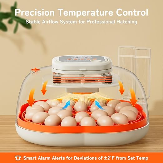 25 Egg Incubator, Extra-Large Interior with High Protective Wall, Top Carry Handle, Automatic Egg Turner, Preset Incubation Period, Auto Water Refill, for Chicken, Quail & Duck Eggs, APDOE HatchPro 25 - Image 3