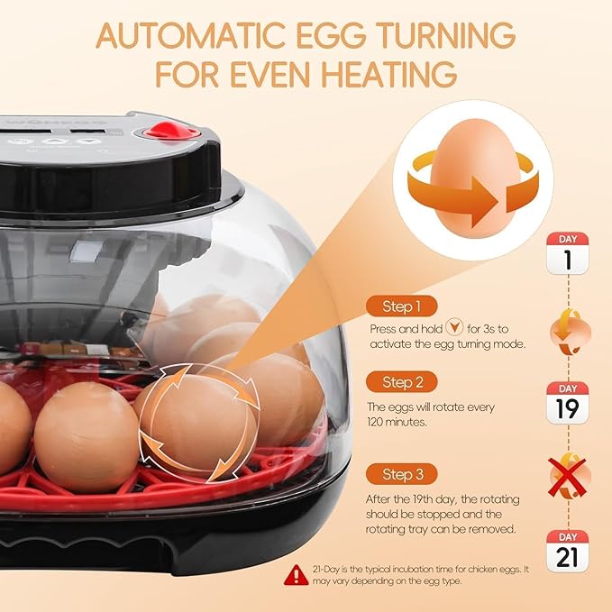 Simple Plus 12-Egg Incubator for Beginners, Full-Stage Adaptive Humidity (Dual-Bottle) & Temp Control, Auto Egg Turn, Real-Time Display, Candler for Hatching Poultry Eggs - Image 3