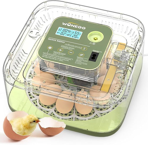 12 Egg Incubator with Automatic Egg Turning and Humidity Control, LED Egg Candling Light, Customized Incubation Days, Incubators for Hatching Eggs, Chicken Quail Parrot Pigeon Birds, Green by WONEGG