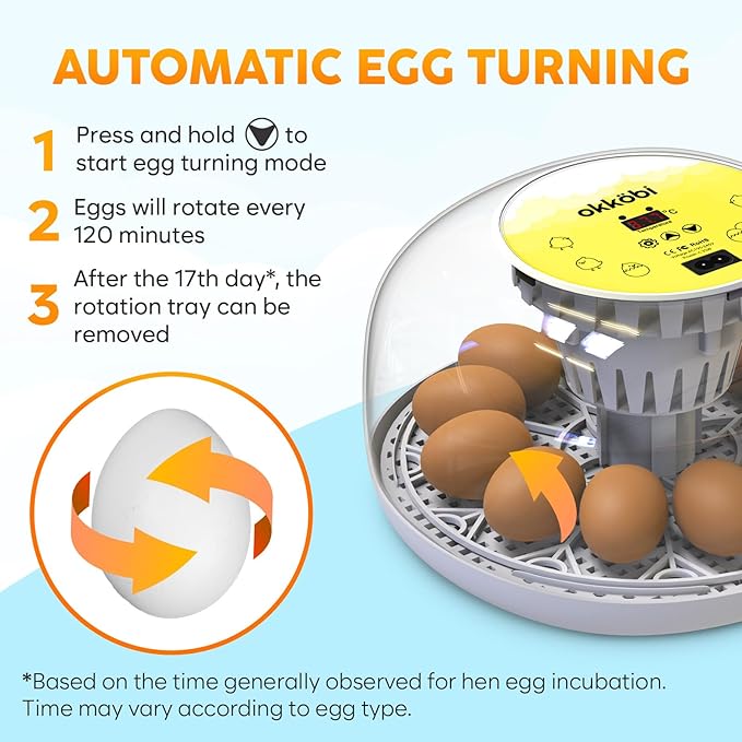 Okkobi M12 Egg Incubator with Automatic Turner and Humidity Control - 12/24 Eggs, 360° View, Easy to Use and Clean - Incubadora de Huevos de Gallina - Incubators for Hatching - White & Yellow - Image 5