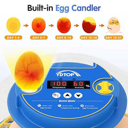 Chicken Egg Incubators for Hatching Eggs, 12 Egg Incubator with Automatic Egg Turning and Humidity Control – Chicken Incubators for Hatching Eggs with 360° View/Candler/Water Bottle Refill/Air Vent - Image 5