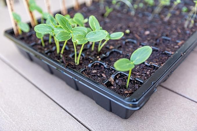 Gardzen Seed Starter Tray, 5 Pack Smiling Face Plant Germination Trays with Total 350-Cell, Seed Starter Kit with Humidity Vented Domes and Bases for Starting Vegetable Flower Herb Seeds 18" x 14" - Image 8