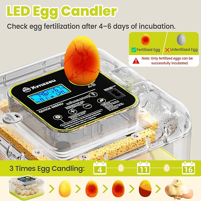 Egg Incubators for Hatching Eggs, 12 Egg Incubator with Automatic Egg Turning and Humidity Control, Incubator for Chicken/Quail/Duck Eggs with Temperature Control/LED Egg Candler, 360 Degree View - Image 5