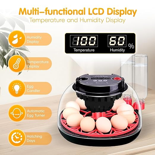 Egg incubators for Hatching Eggs, Automatic Egg Turning 12-24 Poultry Incubator with Temperature Control,Automatic Water Adding,℉ Display,360° View for Hatching Chickens, Duck,Quail,Goose Eggs (M12H) - Image 2