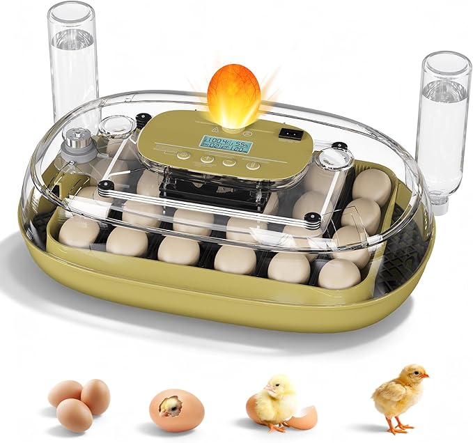 24 Egg Incubator for Hatching Eggs, Automatic Egg Turning, Temperature & Humidity Control, Egg Candler, for Hatching Chicken, Duck, Quail, Goose - Ideal for Farm, Classroom, Home Use by MQUPIN