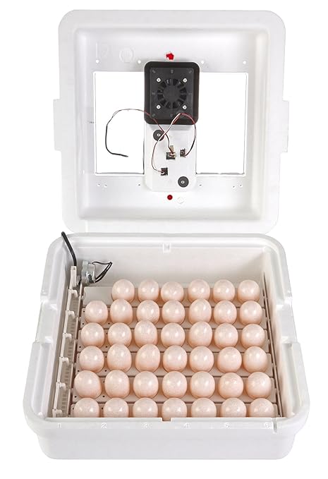 Little Giant® Digital Circulated Air Incubator | 41 Eggs | Egg Incubator with Fan, Temperature and Humidity Control | Hatching Eggs - Image 4
