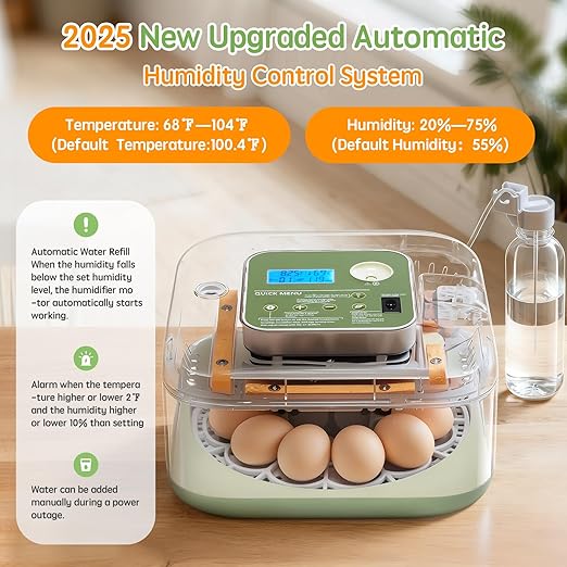 Incubator for Hatching Eggs Automatic Humidity and Temperature Control 12 Eggs Incubator, Digital Display Auto Turner 360° View Egg Candler for Chicken, Duck and Quail Bird Eggs - Image 2