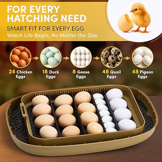 HIRALIY Incubator for Hatching Eggs, 48 Quail Capacity, Chicken & Quail Egg Incubator with Automatic Egg Turning and Humidity Control, 360° Viewing for Home, Farm, Classroom - Image 3