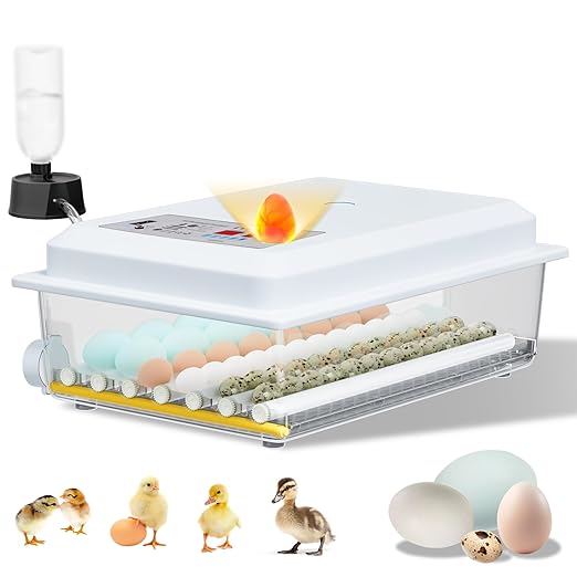 Incubators for Hatching Eggs, 36 Egg Incubator with Automatic Egg Turning and Humidity Control, Chicken, Duck, Goose, Bird, Quail, Incubator for Farm, Lab, Home（White） by Unknown