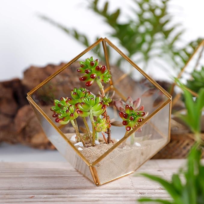 ELEGANTLIFE Glass Geometric Plant Terrarium,Succulent & Air Planter for Home Garden Office Decoration(Gold Cubic Set of 2) - Image 8
